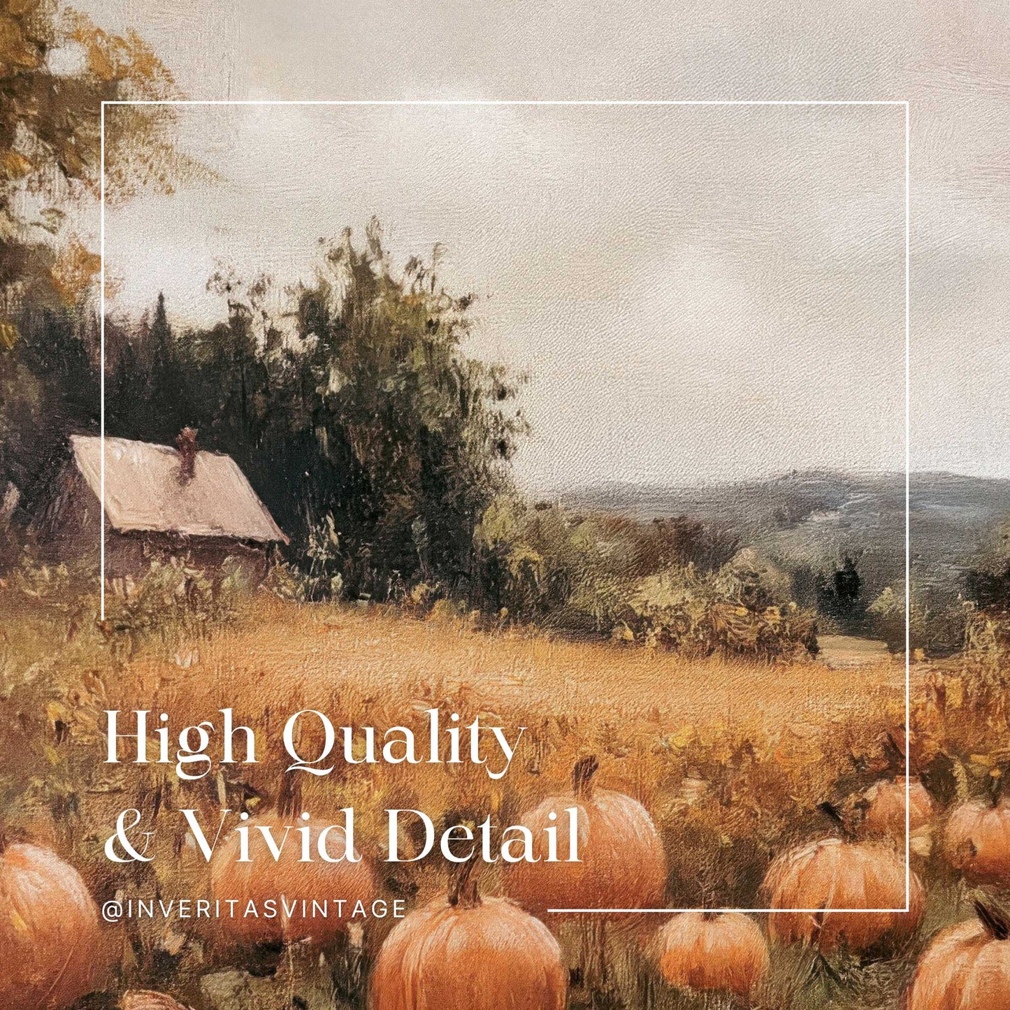 the pumpkin patch print is high quality and has vivid detail